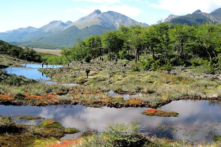 Tierra del Fuego National Park with Lapataia Bay from Ushuaia
