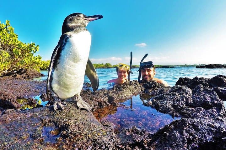 12-Day The Best Of Ecuador & Galapagos