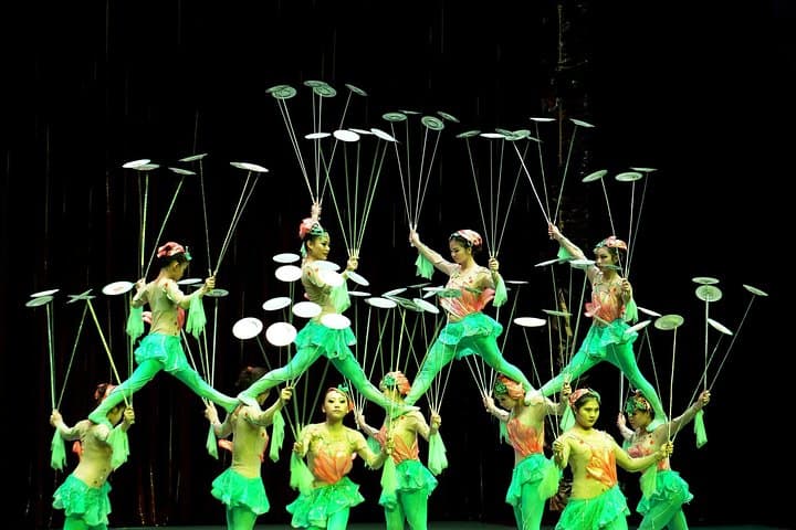 China Acrobatics Show and Shanghai Evening Tour