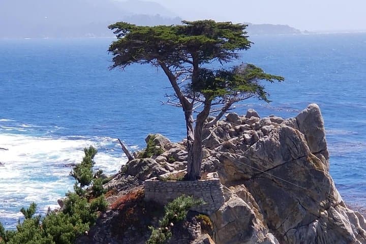 Private Tour to Monterey, Carmel, 17-Mile Drive, Pebble Beach