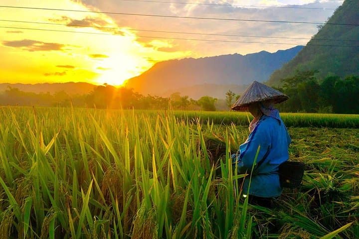 Mai Chau Day Tour From Hanoi - Amazing North Vietnam
