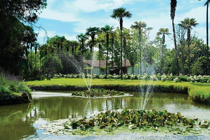 Pre or Post Valparaiso Cruise with Santiago City Tour and optional Vineyard