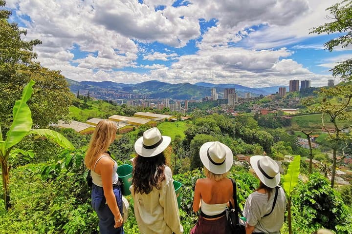 Private Coffee Farm Tour in Medellin: Real Authentic Experience