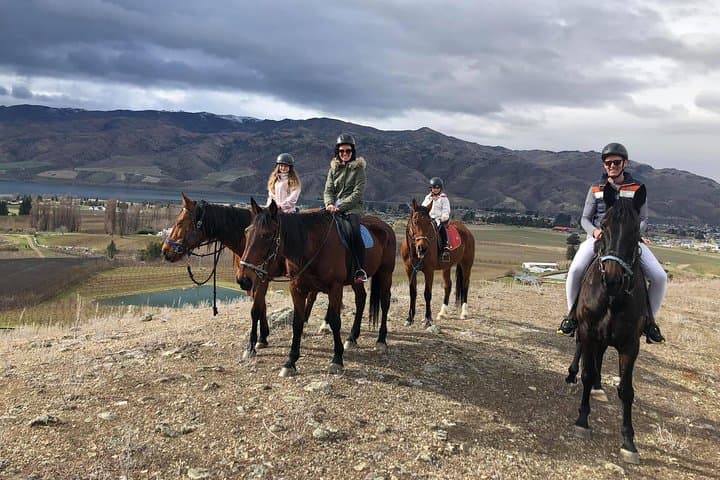 Golden Hills Horse Trek in Central Otago