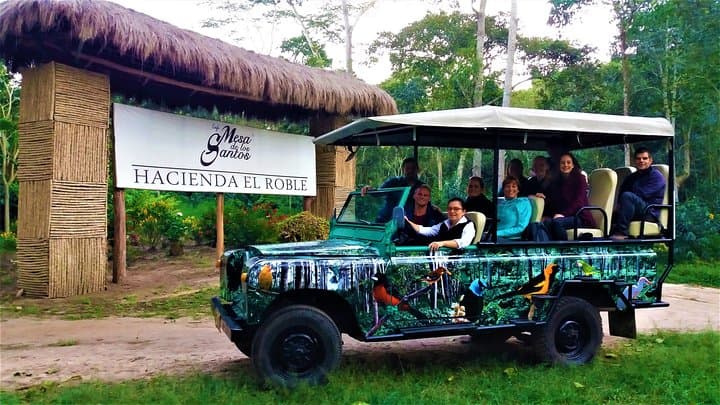 Private Tour - Coffee Tour (Cultivations)