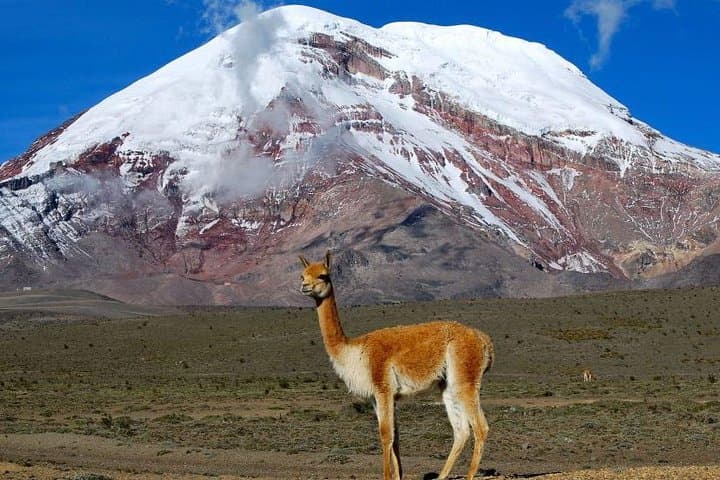 Adventure in Chimborazo: Hiking and Ascent from Quito