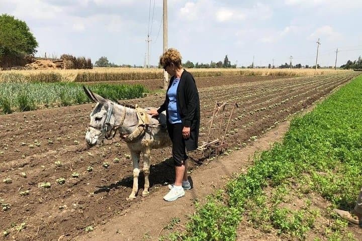 Egypt Day tour in countryside