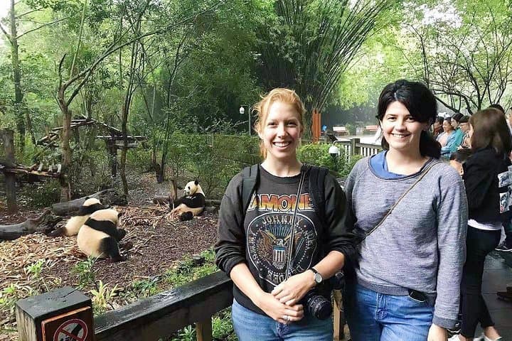 Visiting Chengdu Panda Base in a Half Day
