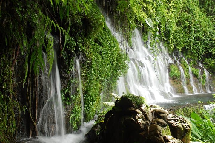 Coffee Country and Ruta de las Flores. A day full of fun!