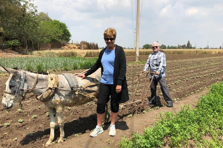 Egypt Countryside Trip