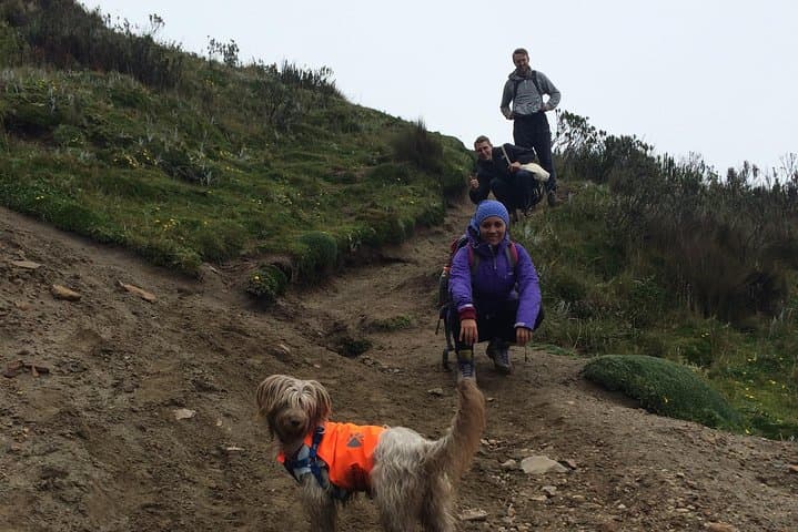 Ruco Pichincha Summit Hike
