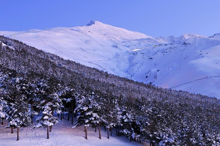 Sierra Nevada Private Tour: Day Trip from Granada