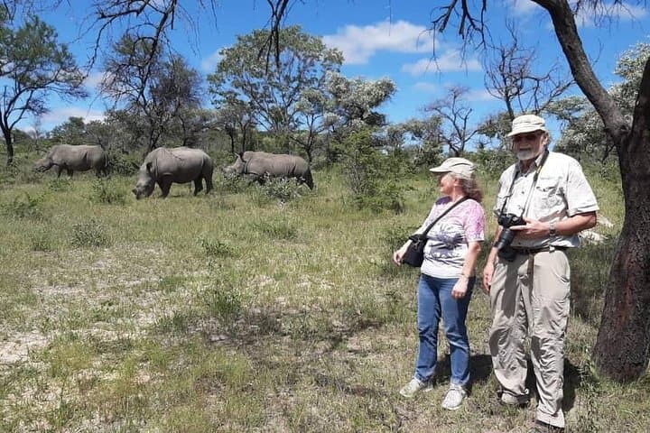 13 Days Best Of Zimbabwe