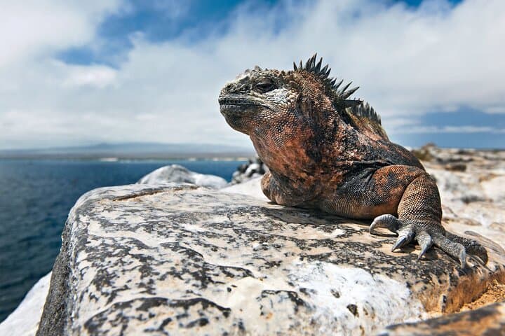 4-Day Galapagos Island Hopping Tour