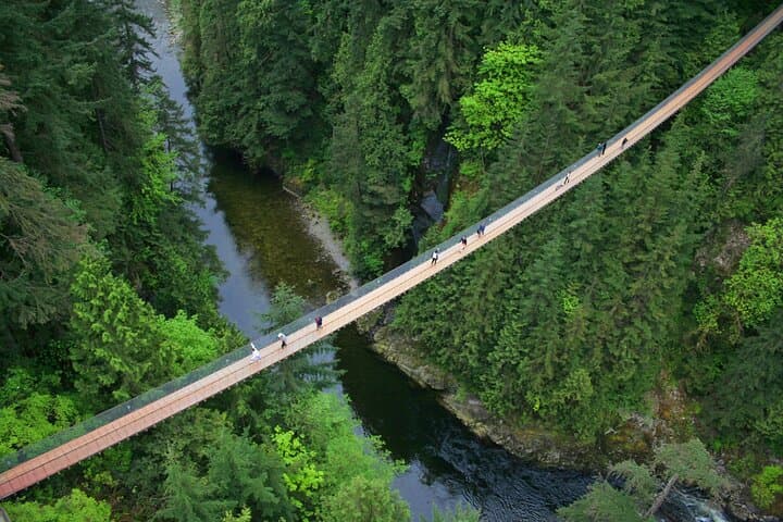 Vancouver City Sightseeing Tour: Capilano Suspension Bridge & Vancouver Lookout