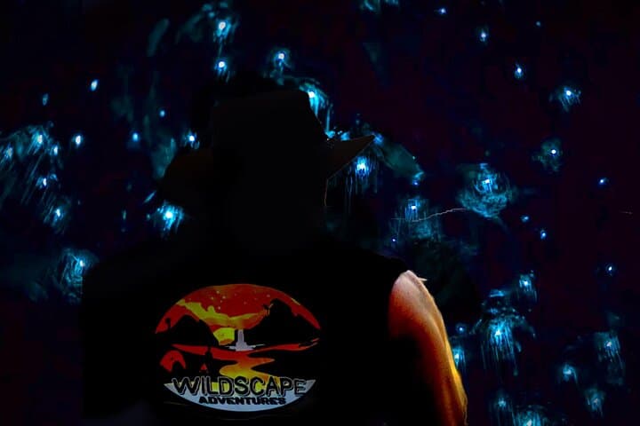 Blue Mountains Hiking Glow worms Cave Wildlife Spotlighting Night Adventure