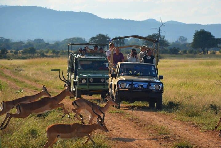 2 Days Hluhluwe Game Reserve & Isimangaliso Wetlands from Durban