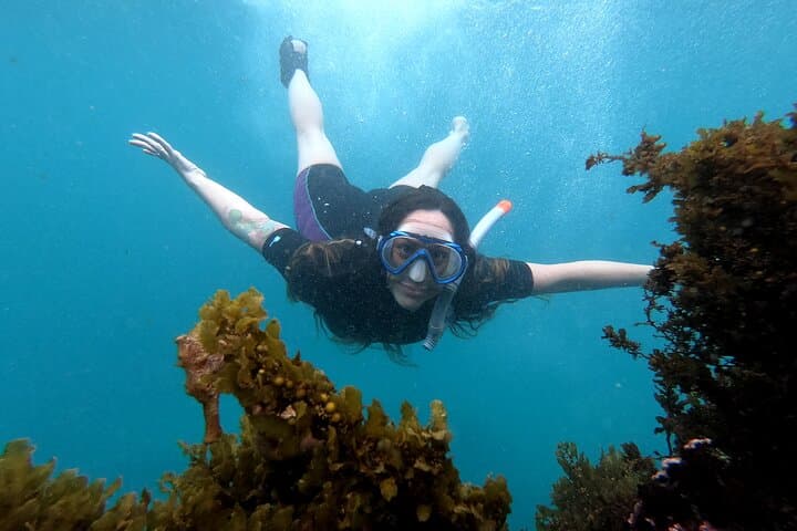 5 days excursion to Galapagos Islands with Snorkel and Volcanoes