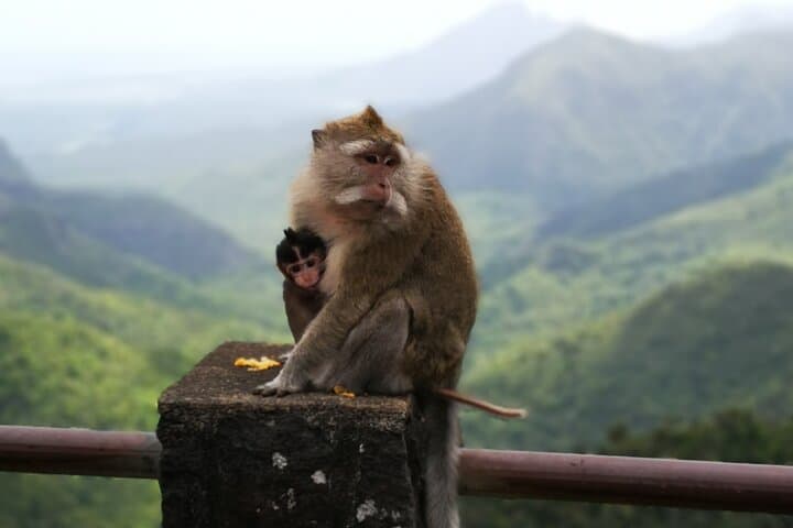 Mauritius Guided South tour (Private)