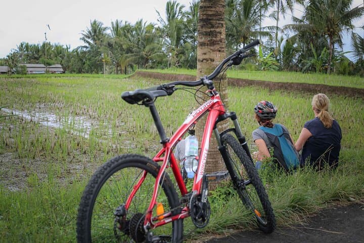 Cycling Adventure in Bali