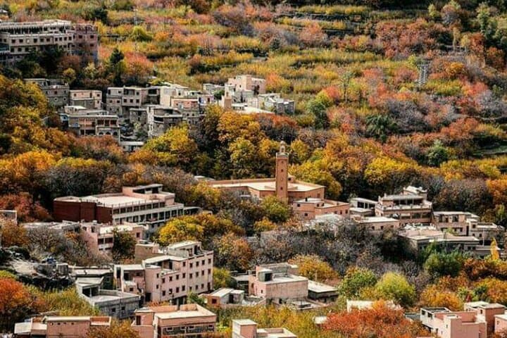 Atlas mountains privat day trip