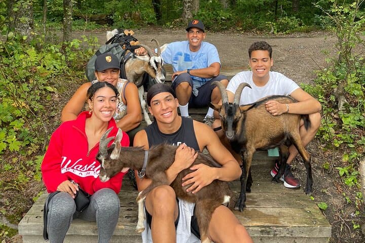 Goat Hiking, Beaver Dam Visit and picnic in Quebec forest