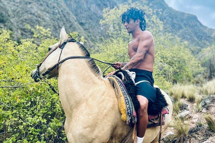 Mendoza Horse Andes Horseback Adventure with BBQ Lunch