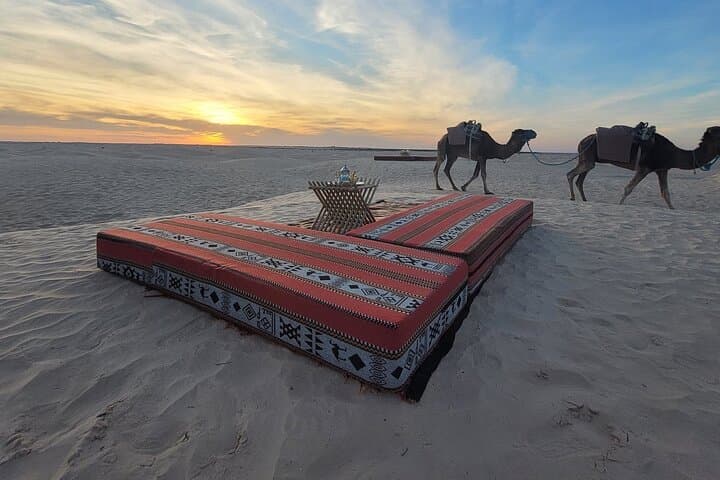 Dromedary Expedition with Night in Camp and Sandboard