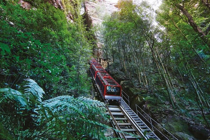 Blue Mountains Adventure w Scenic World, Zoo, Koala Photo & Ferry