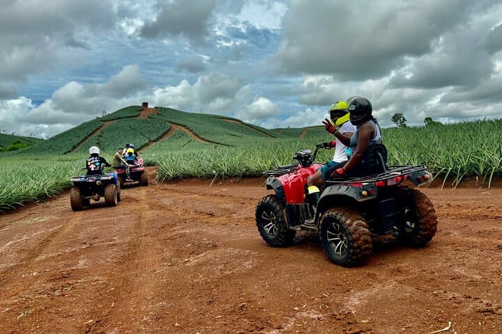 Unique Pineapple Farm Tour on 4 wheels