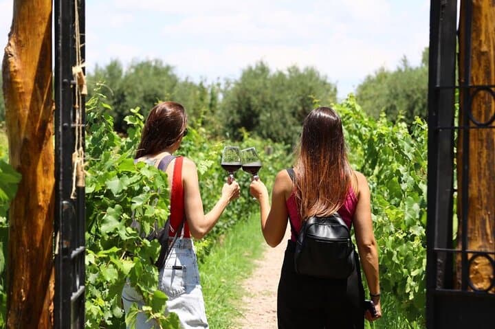 Mendoza Tour Wines Empanadas and Olive Oil