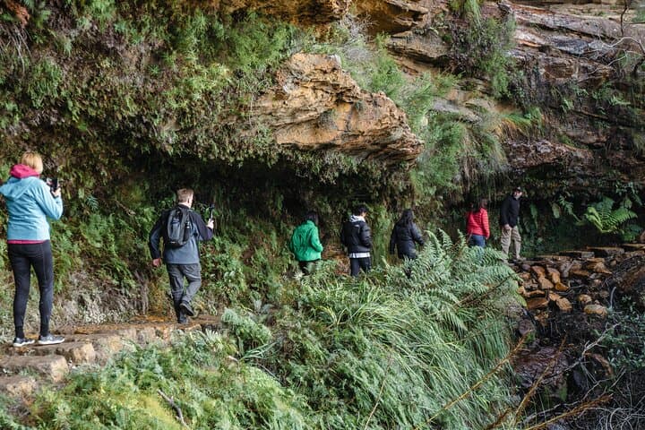 Small Group Blue Mountains Wildlife and Bushwalk Tour From Sydney