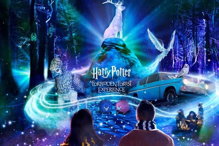 Harry Potter A Forbidden Forest Experience in Brisbane Australia