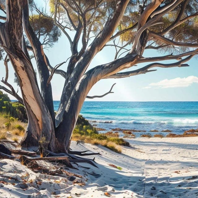 Picture of Esperance WA, Australia