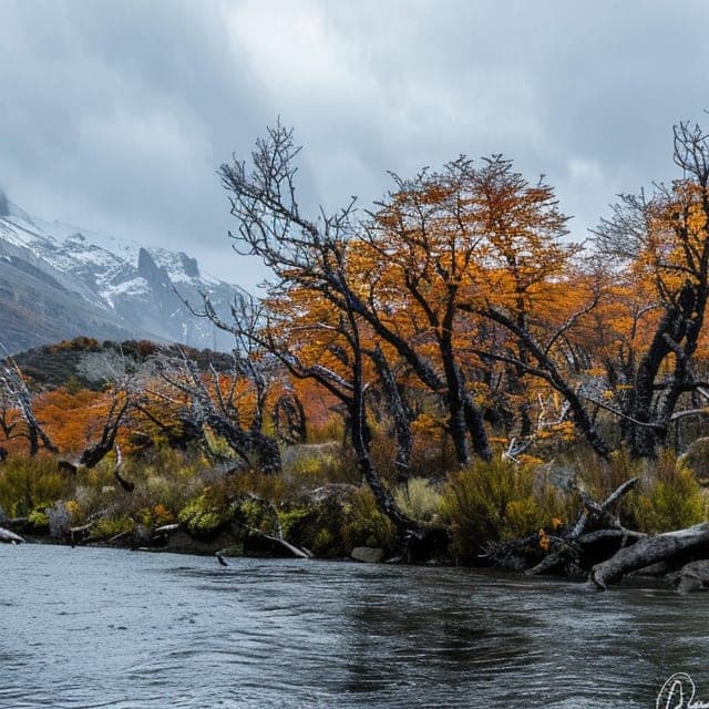 Picture of Región de Aysén, Chile